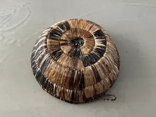 Kurv