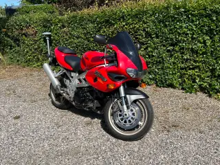 Suzuki TL1000S