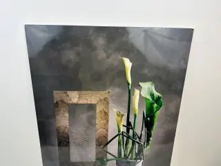 Originalt foto-kunsttryk på plade (retro)