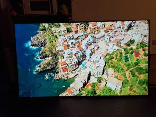 55" Samsung smartTV 4K UltraHD med vægbeslag