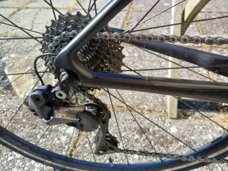Pigeracer Giant liv di2 