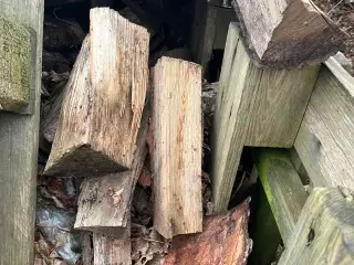 Kløvet brænde 18 rummeter