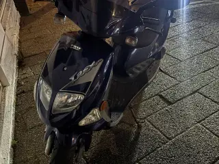 45 knallert pgo t-rex