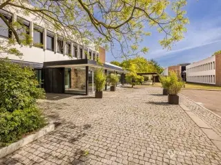 Unik arkitektur placeret i skøn natur