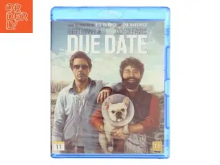Due Date BD                                        <span class="label label-blank pull-right" style="margin-right: 3px;"<Sta