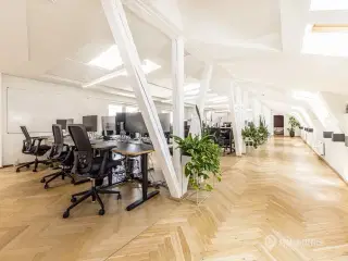 Herskabeligt kontorlejemål i  hjertet af København
