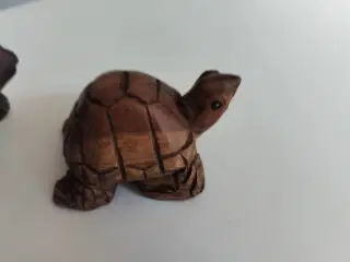Træ skildpadder
