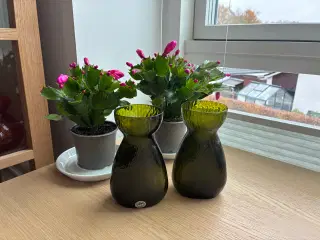 Hyacintglas - Gl. Holmegaard  - 2 stk. i mørk grøn