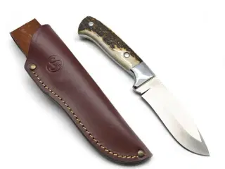 sauer kniv købes