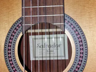 Klassisk, Salvador CS-244  