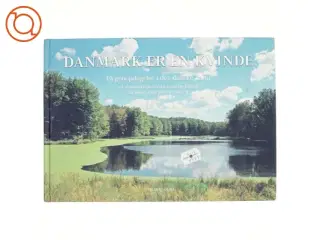 Danmark er en kvinde af Rune Engelbreth Larsen (Bog)