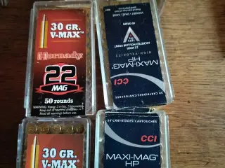 Ammo 22 Magnum