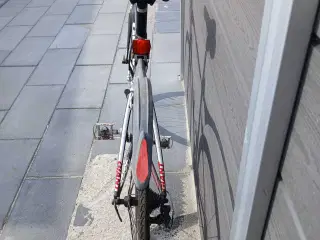 Giant cyke 