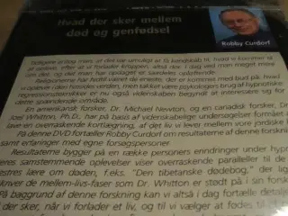 Hvad der sker mellem DØD OG GENFØDSEL.