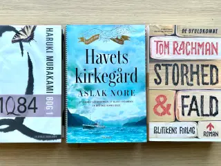 📚 Bogpakke til salg – 50 kr. pr. bog