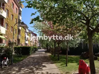 Hjembytte - Saxogade