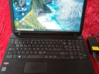 Toshiba Skole bærbar Computer Toshiba 15,6" skærm