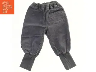 Fløjsbukser til børn fra Urban Elk (str. 98)