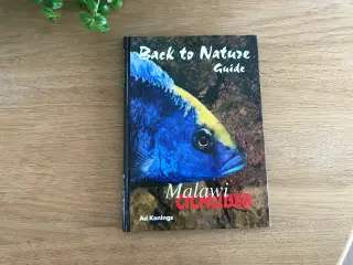 Malawi Cichlider  - Back to Nature Guide