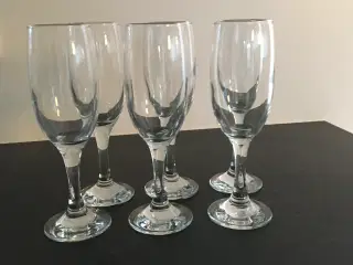 6 flotte og elegante Champagneglas 23 cl