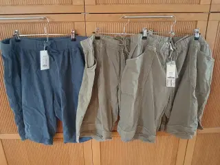 Zizzi shorts 