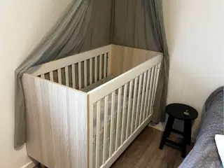 Karl tremmerne fra bekids 