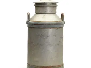 Mælkejunger  2 stk