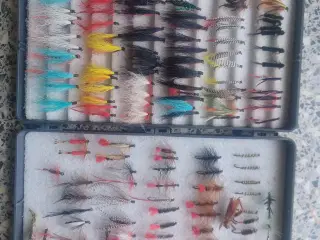 Assorterede fluer i flueboks 