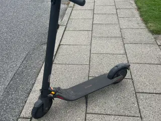 Segway Ninebot løbehjul