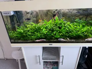 Juwel akvarie 200 ltr.