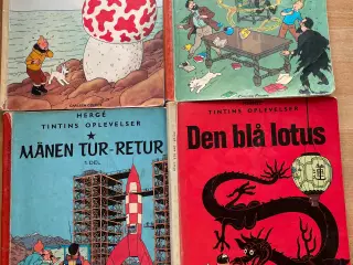 Tintin 1, 3, 7, 21