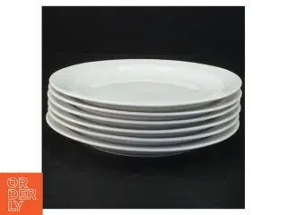 Hvide porcelænstallerkener (str. 17 x 2 cm)