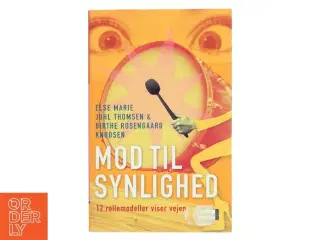 Mod til synlighed : 12 rollemodeller viser vejen (Bog)