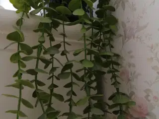 NYE kunstige grønne hænge planter 