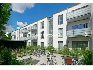 Hjembytte - Rådhusparken