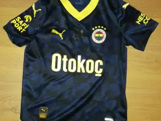 FENERBACHE SK 2023-24, STR. 7-8 ÅR I FLOT STAND