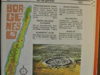 skalk nr. 1-6 1981 i samlemappe, emne: historie og