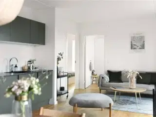 Fælledkarréen - Flot 1-værelses lejlighed med olivengrønt køkken, København S, København