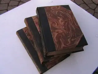 3 stk fine ældre bøger. 
