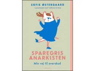 Sparegrisanarkisten - Min vej til overskud