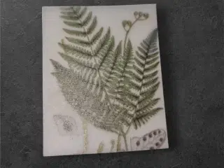 Elegante papirark med bregnemotiv til kreative pro