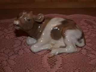 Liggende kalv