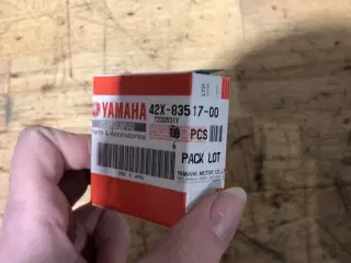 Pære (T6.5 12V-3W)