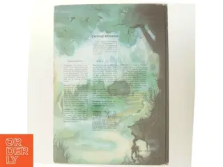 The MEGA Role-Playing System: Fantasy Edition (Bog)