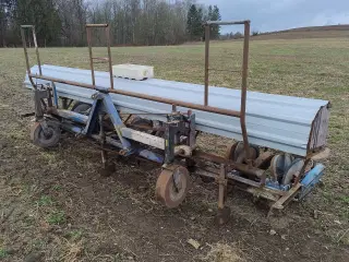 Accord plantemaskine til 6 rækker