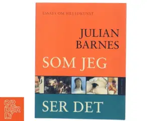 Som jeg ser det : essays om billedkunst af Julian Barnes (Bog)