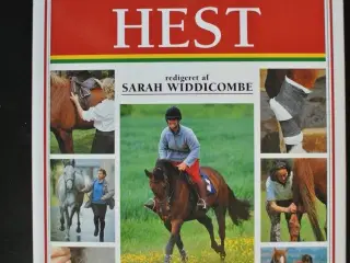 den sunde hest, red. af sarah widdicombe