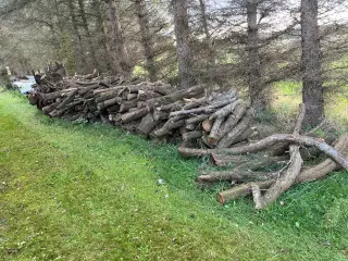 Brænde