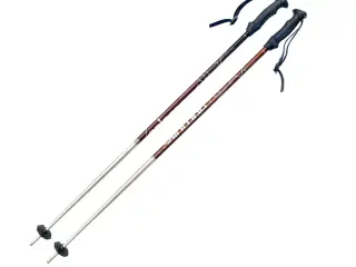 Salomon Skistave 110cm