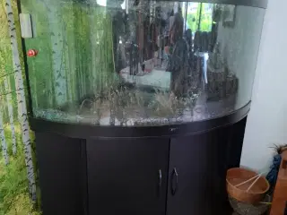 Akvarie med underskab